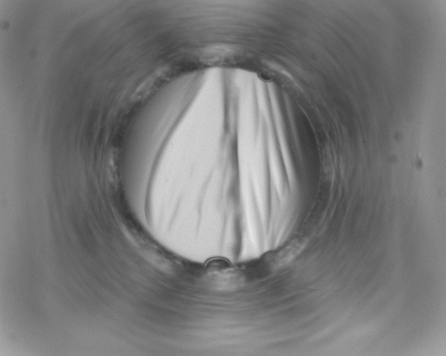 X0000077350280200611171906