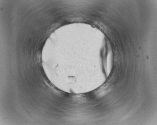 X0000077350281200611171906