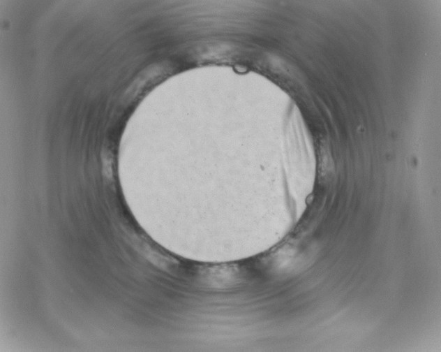 X0000077350282200611171906