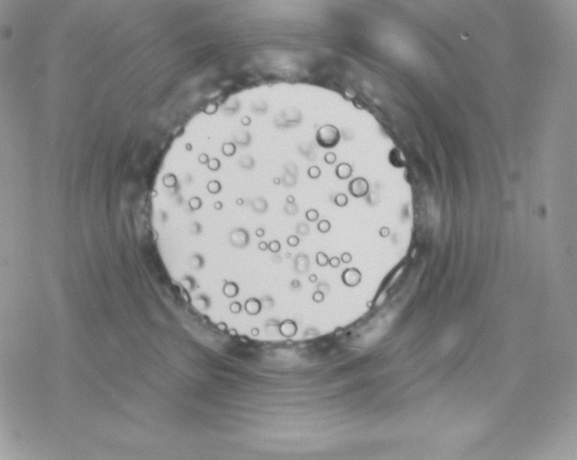 X0000077350285200611171906