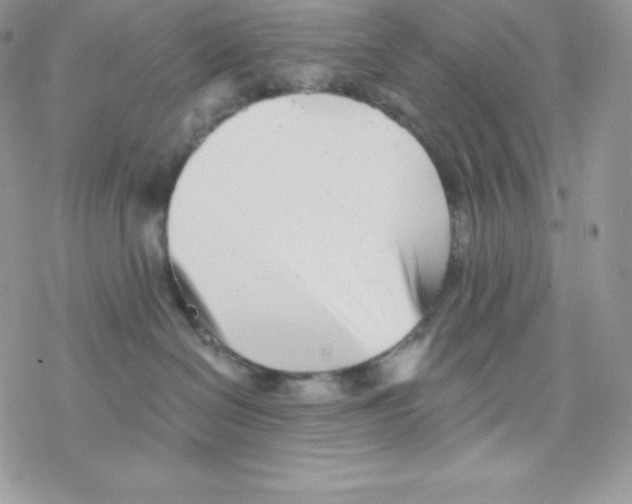 X0000077350286200611171906