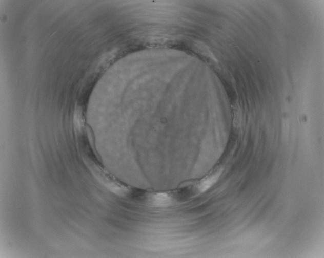 X0000077350287200611171906