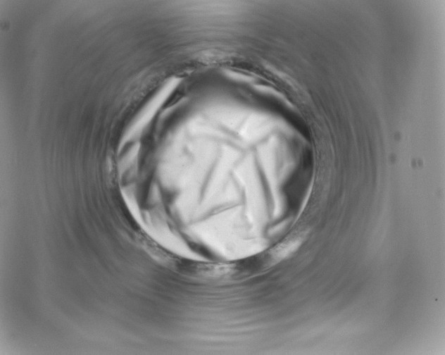 X0000077350288200611171906