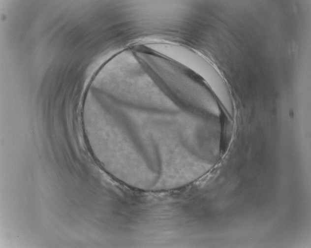 X0000077350289200611171905