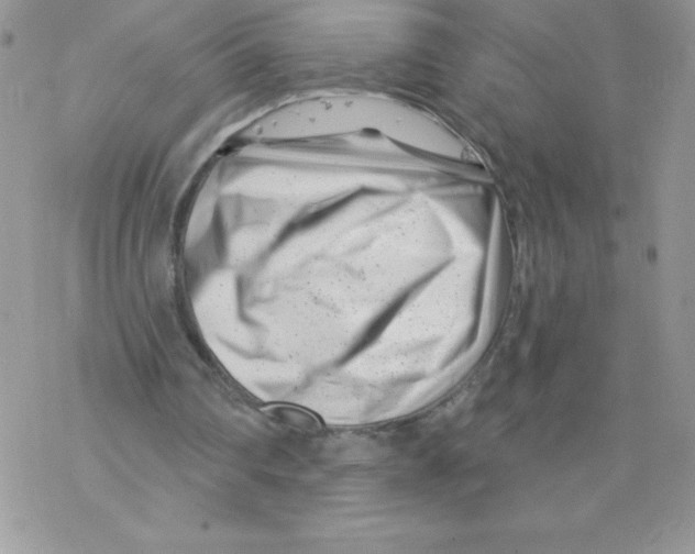 X0000077350290200611171905