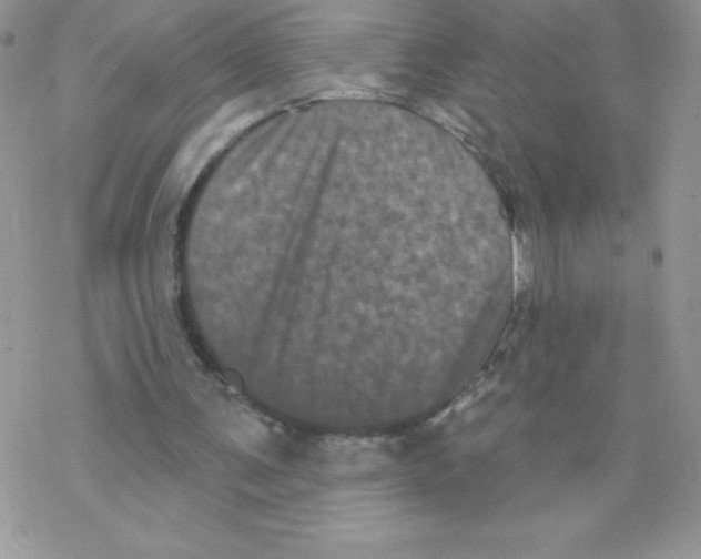 X0000077350291200611171905