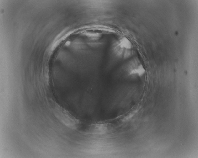 X0000077350295200611171905