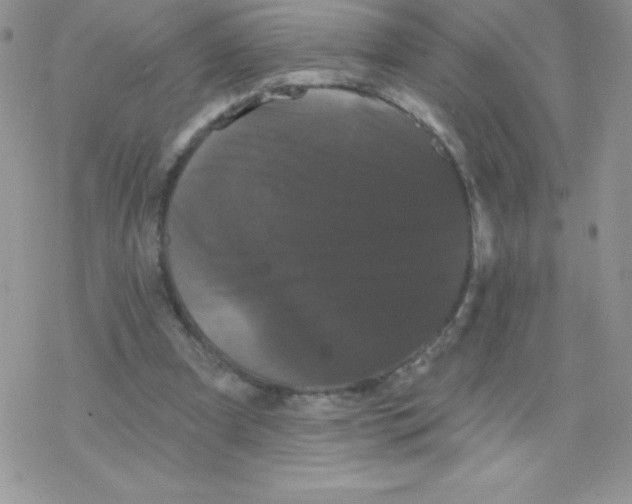 X0000077350297200611171905