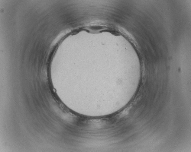 X0000077350298200611171905