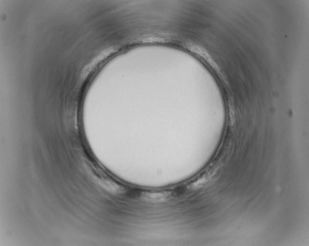 X0000077350299200611171905