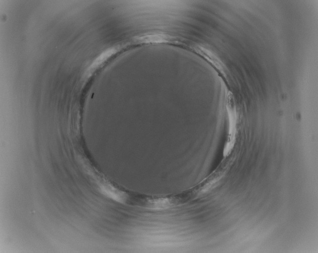 X0000077350301200611171905