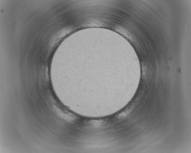 X0000077350302200611171905