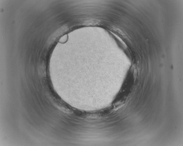 X0000077350303200611171905