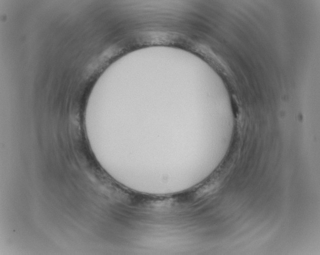 X0000077350306200611171905