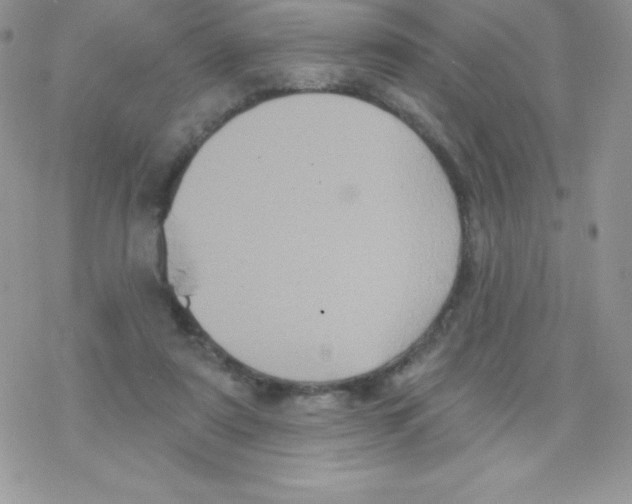 X0000077350307200611171905