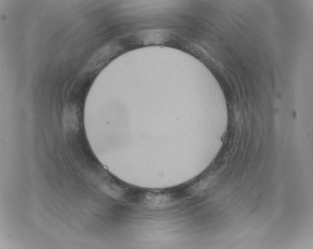 X0000077350311200611171905