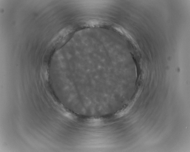 X0000077350313200611171905