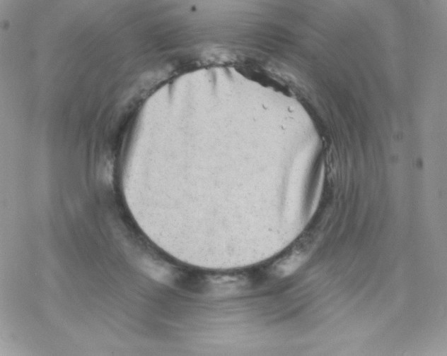 X0000077350315200611171905