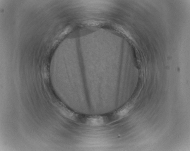 X0000077350317200611171904