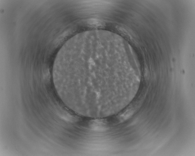 X0000077350320200611171904