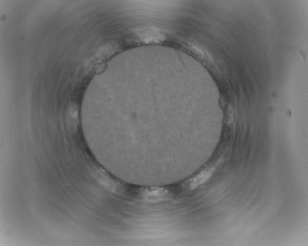 X0000077350321200611171904