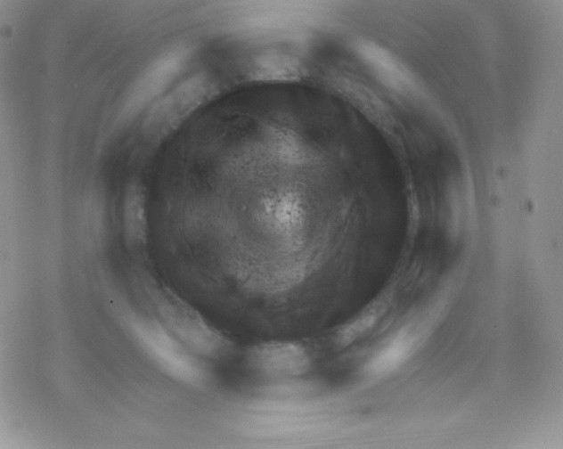 X0000077350322200611171904