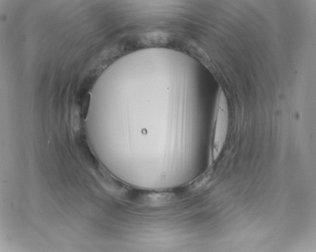 X0000077350323200611171904