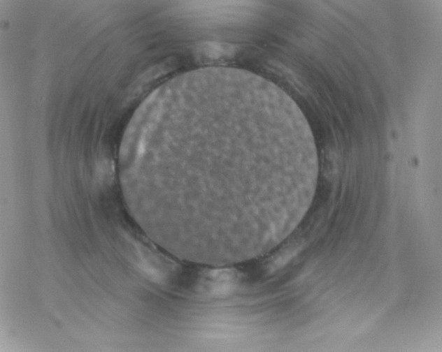 X0000077350324200611171904