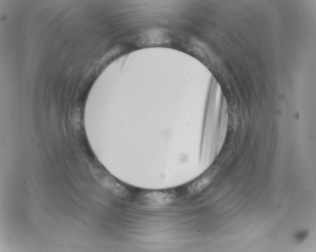 X0000077350326200611171904