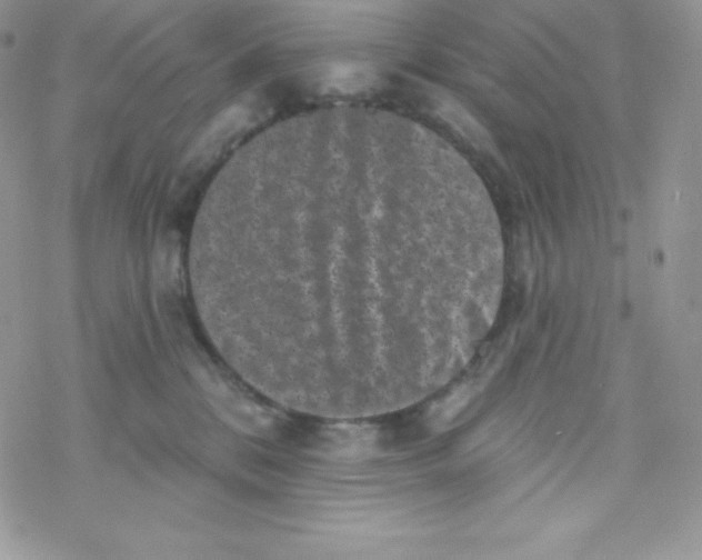 X0000077350328200611171904