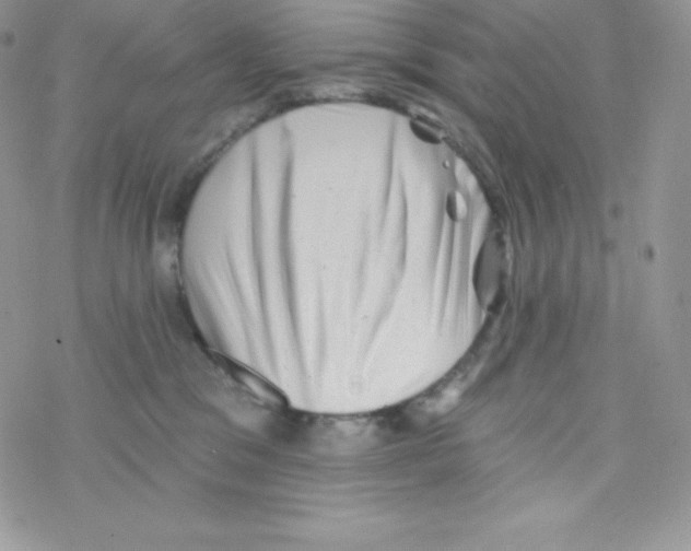 X0000077350329200611171904