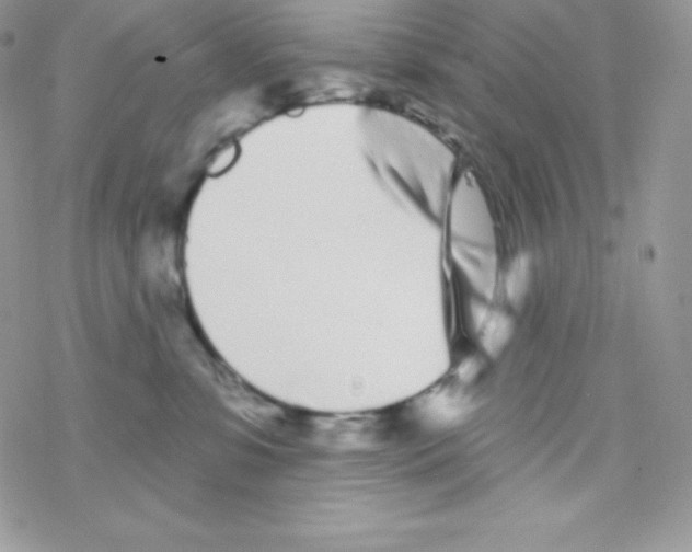 X0000077350331200611171904