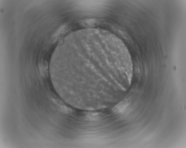 X0000077350332200611171904