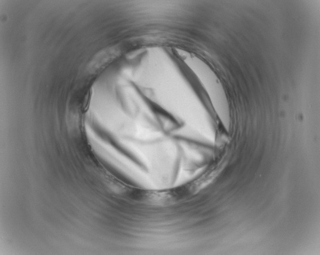 X0000077350333200611171904