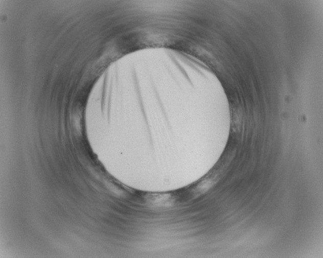 X0000077350334200611171904