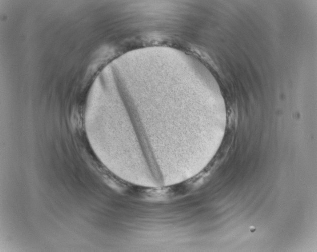 X0000077350335200611171904