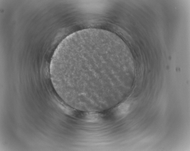 X0000077350336200611171904