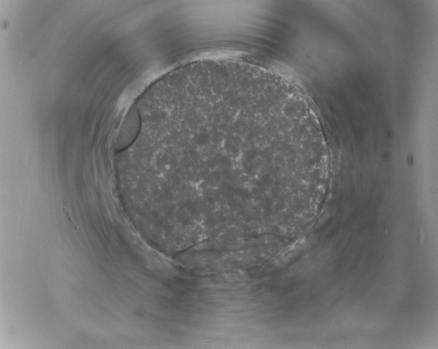 X0000077350337200611171903