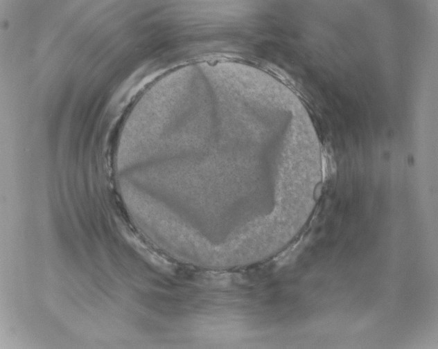 X0000077350339200611171903