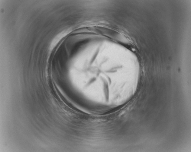 X0000077350340200611171903