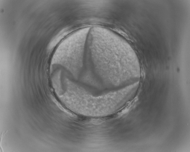 X0000077350341200611171903