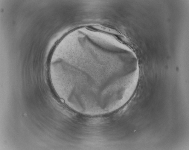 X0000077350342200611171903