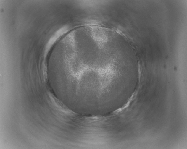 X0000077350343200611171903