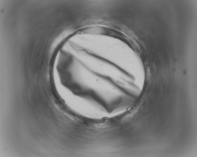 X0000077350344200611171903