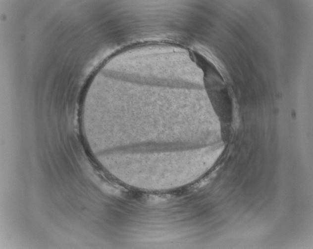 X0000077350346200611171904