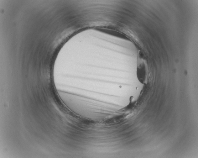 X0000077350348200611171904