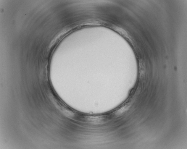 X0000077350349200611171904