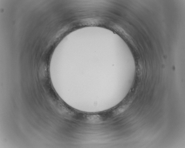 X0000077350355200611171904