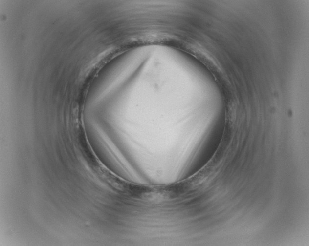 X0000077350356200611171904