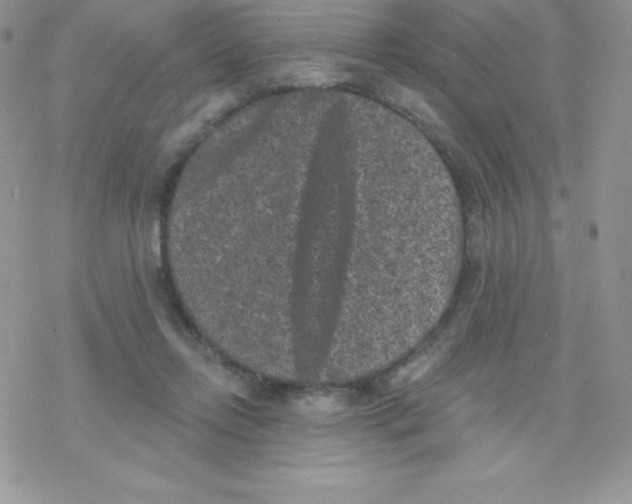 X0000077350358200611171904